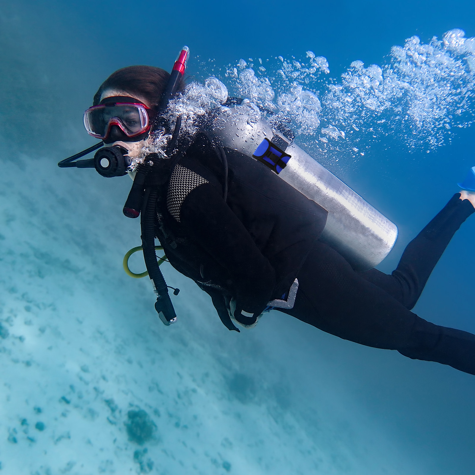 퀵 릴리스 버클이 달린 스쿠버 다이빙용 웨이트 벨트 포 - Scuba Weight Belt Pocket Quick Release 리뷰 및 가격